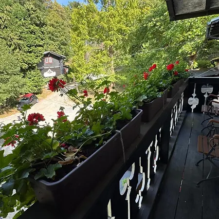 Waldgasthaus&pension Christianental 4*